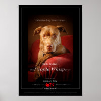 Chocolate Lab Pit Mix Dog Movie Poster