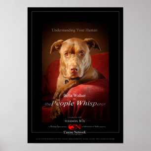 Chocolate Lab Pit Mix Dog Movie Poster