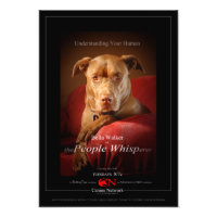 Chocolate Lab Pit Mix Dog Movie Poster