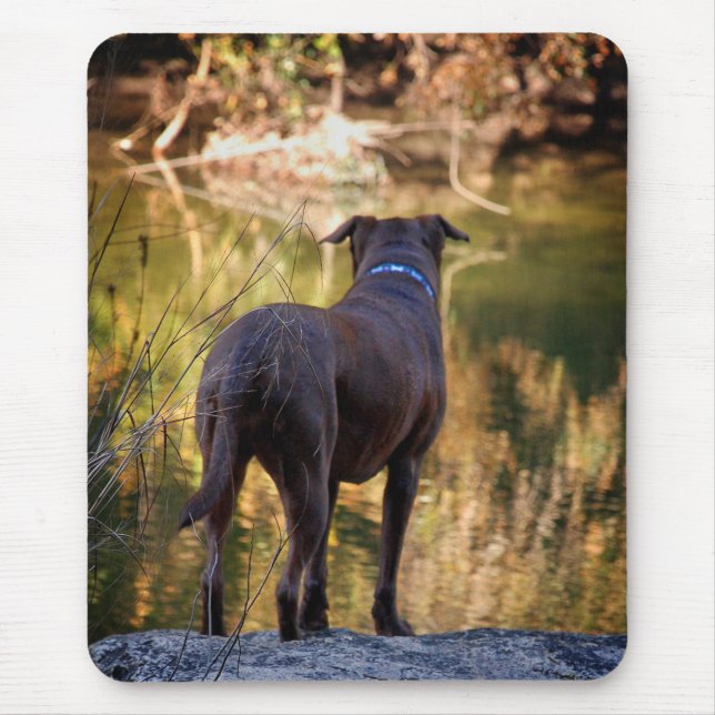 Chocolate Lab Pit Mix Dog Serene Mouse Pad (Front)