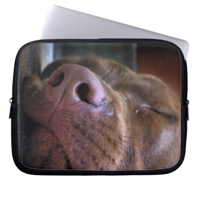 Chocolate Lab Pit Puppy Sleeping Laptop Sleeve (Front)