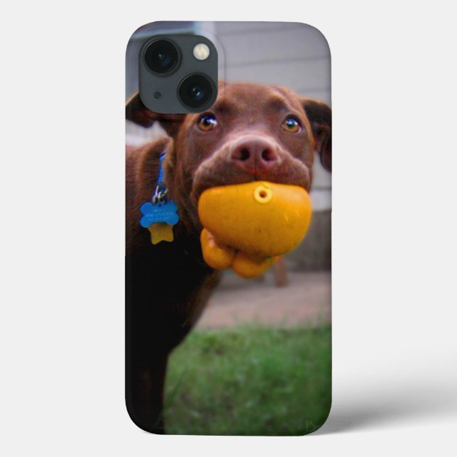 Chocolate Lab Pit Puppy with Ball Case-Mate iPhone Case (Back)