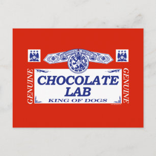 Chocolate Lab Postcard