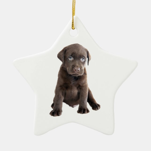 Chocolate Lab Puppy Ceramic Ornament (Front)