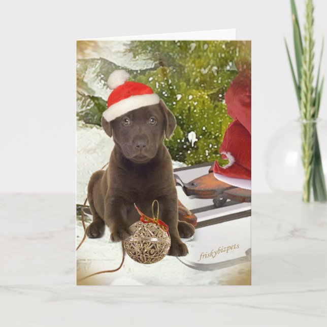 Chocolate Lab Puppy Christmas Cards (Front)