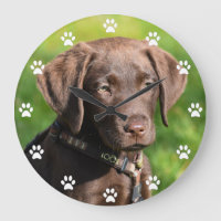 Chocolate Lab Puppy Dog