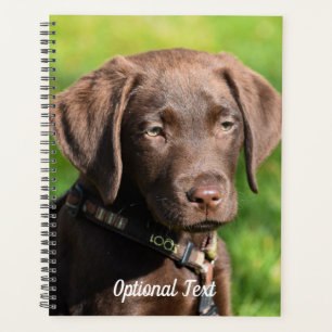 Chocolate Lab Puppy Dog Planner