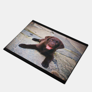 Chocolate lab puppy doormat