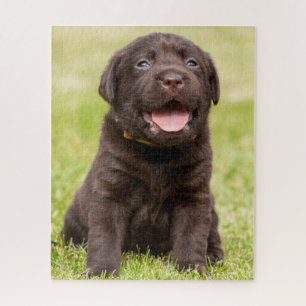 Chocolate Lab Puppy Jigsaw Puzzle