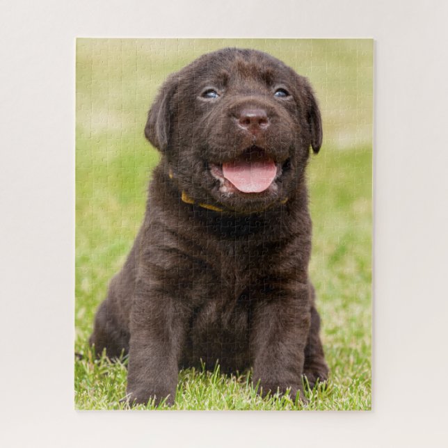 Chocolate Lab Puppy Jigsaw Puzzle (Vertical)