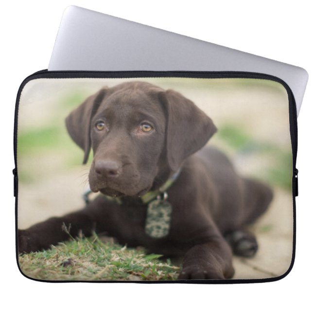 Chocolate Lab Puppy Laptop Sleeve (Front)