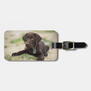 Chocolate Lab Puppy Luggage Tag