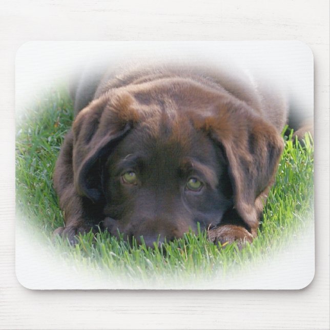 Chocolate Lab Puppy Mouse Pad (Front)