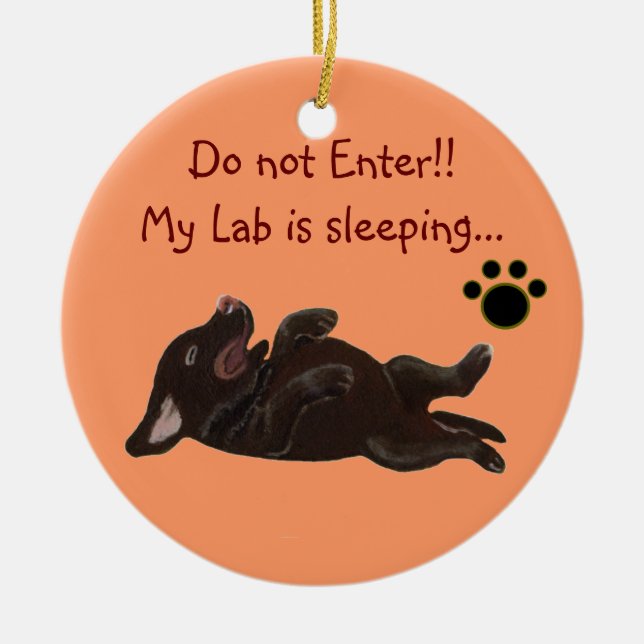 Chocolate Lab Puppy Sleeping Door Hanger Ceramic Ornament (Front)