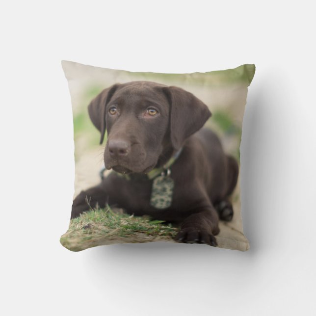 Chocolate Lab Puppy Throw Pillow (Front)