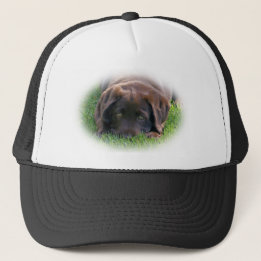 Chocolate Lab Puppy Trucker Hat
