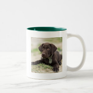 Chocolate Lab Puppy Two-Tone Coffee Mug