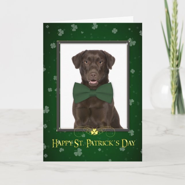 Chocolate Lab St. Patrick's Day Card (Front)