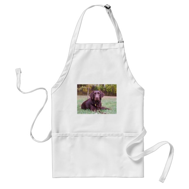 Chocolate Lab Standard Apron (Front)