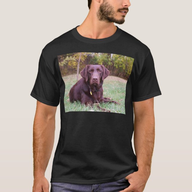 Chocolate Lab T-Shirt (Front)