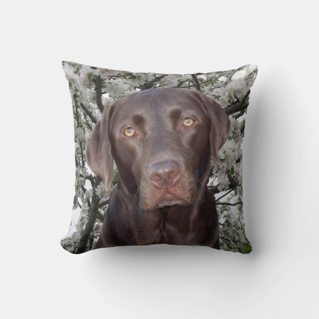 Chocolate Lab Throw Pillow (Front)