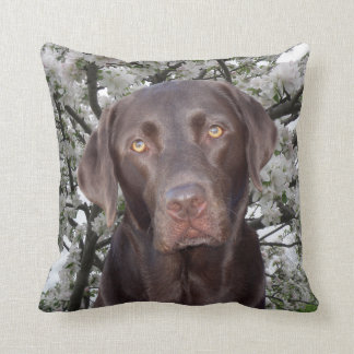 Chocolate Lab Throw Pillow