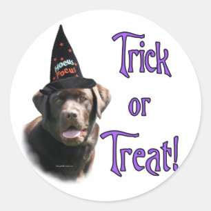 Chocolate Lab Trick Sticker