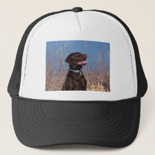 Chocolate Lab Trucker Hat