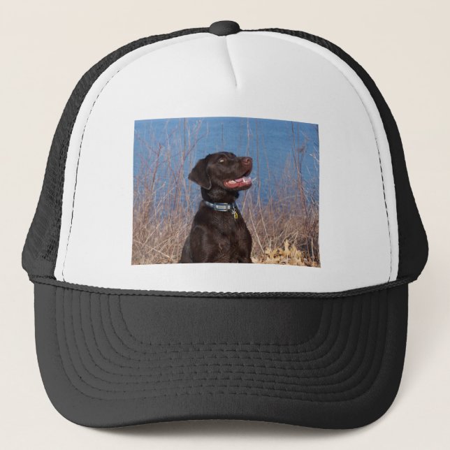 Chocolate Lab Trucker Hat (Front)