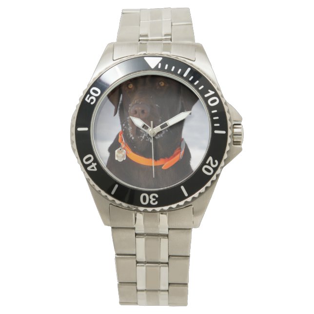 Chocolate Lab Watch (Front)