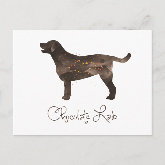 Chocolate Lab Watercolor Design Postcard (Front)
