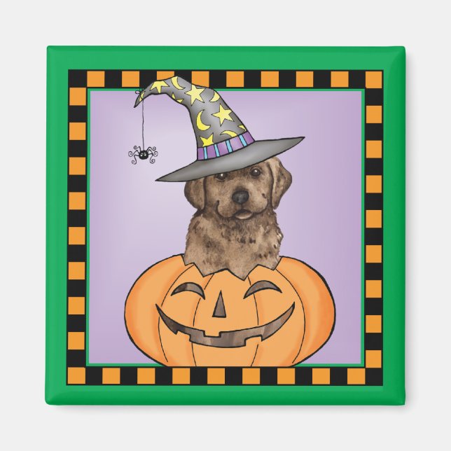 Chocolate Lab Witch Magnet (Front)