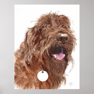 Chocolate Labradoodle #1 Canvas print
