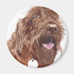 Chocolate Labradoodle #1 Magnet