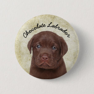 Chocolate Labrador 2 Inch Round Button