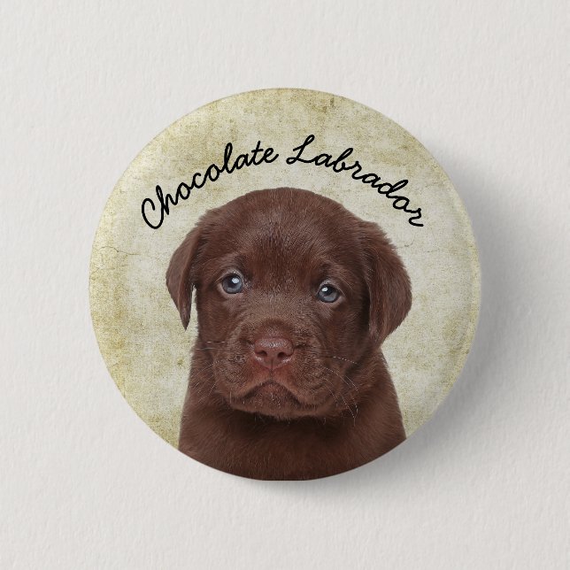 Chocolate Labrador 2 Inch Round Button (Front)