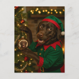 Chocolate Labrador and bauble Christmas postcard