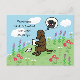 Chocolate Labrador and Letter Someone Cares Postcard