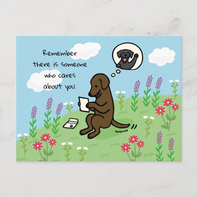 Chocolate Labrador and Letter Someone Cares Postcard (Front)