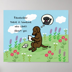 Chocolate Labrador and Letter Someone Cares Poster