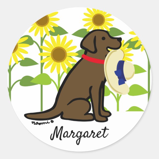 Chocolate Labrador and Sunflowers Summer Classic Round Sticker (Front)