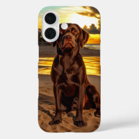 Chocolate Labrador at Sunset