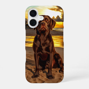 Chocolate Labrador at Sunset iPhone 16 Case