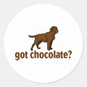 Chocolate Labrador Classic Round Sticker