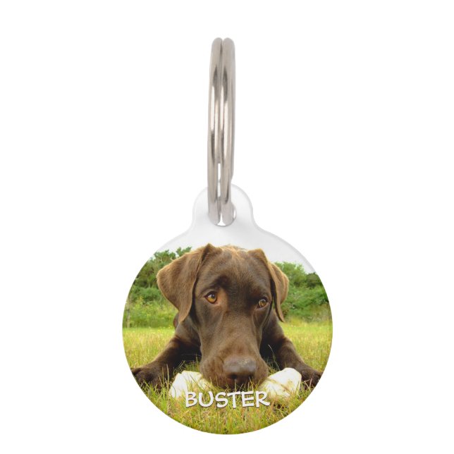 Chocolate Labrador Custom Pet Tag (Front)