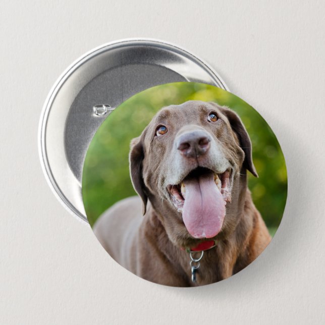Chocolate Labrador Dog 3 Inch Round Button (Front & Back)
