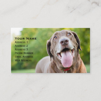 Chocolate Labrador Dog Business Card