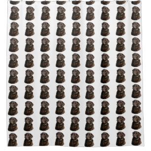Chocolate Labrador dog pattern