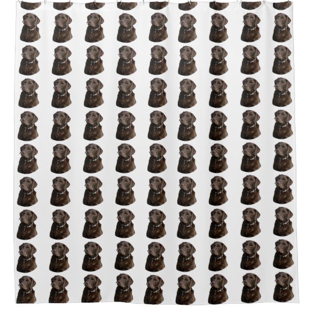 Chocolate Labrador dog pattern (Front)