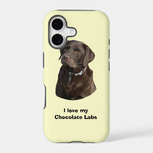 Chocolate Labrador dog photo portrait